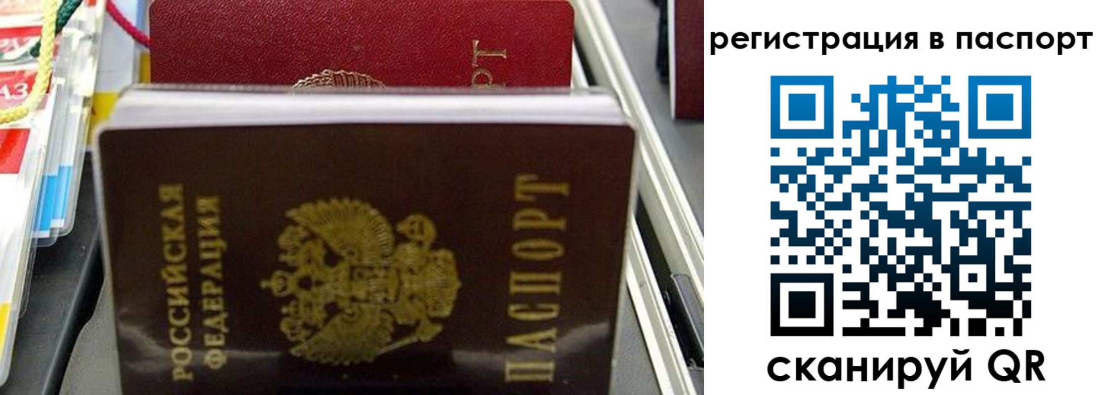 прописка для школы в Курганской области